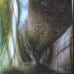 thumb_1008 (Medium).jpg